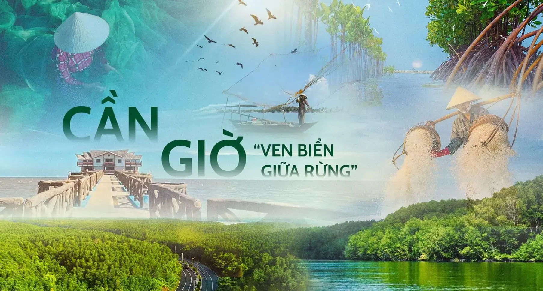 can gio vung dat ven bien giua rung