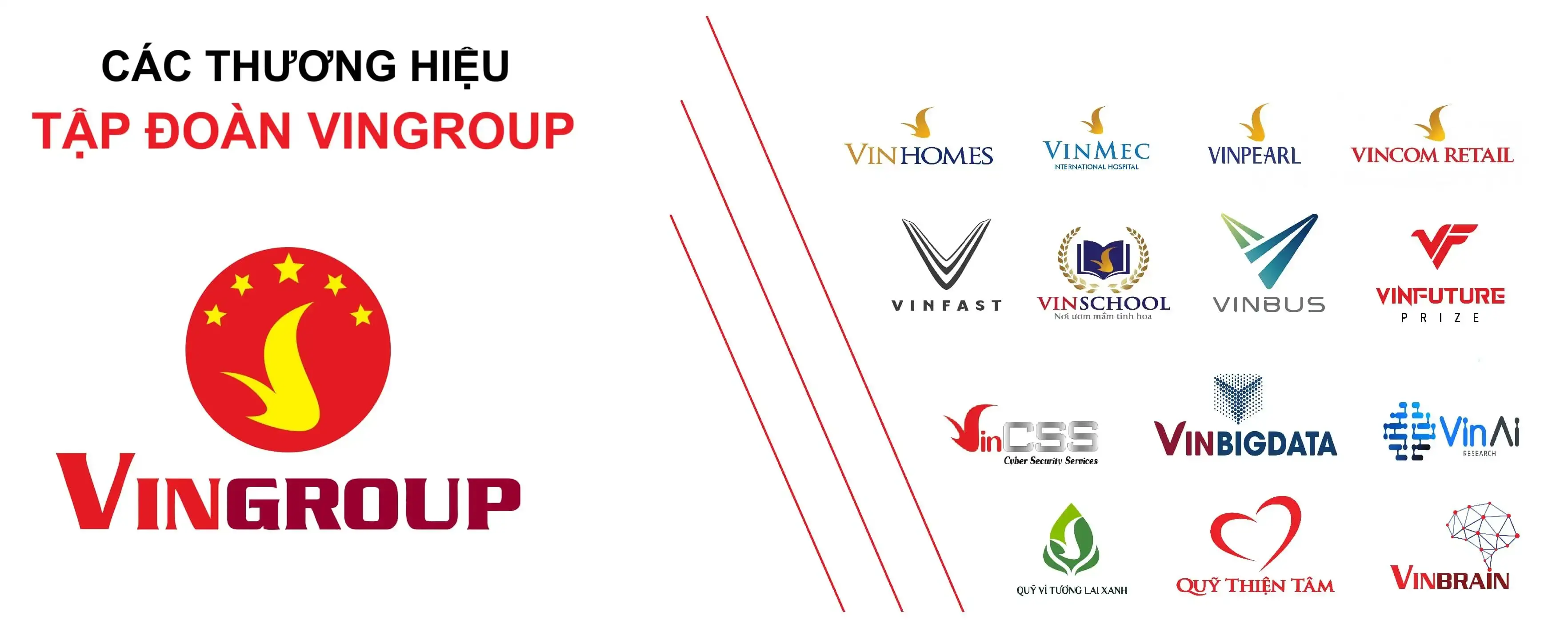 gioi-thieu-vingroup