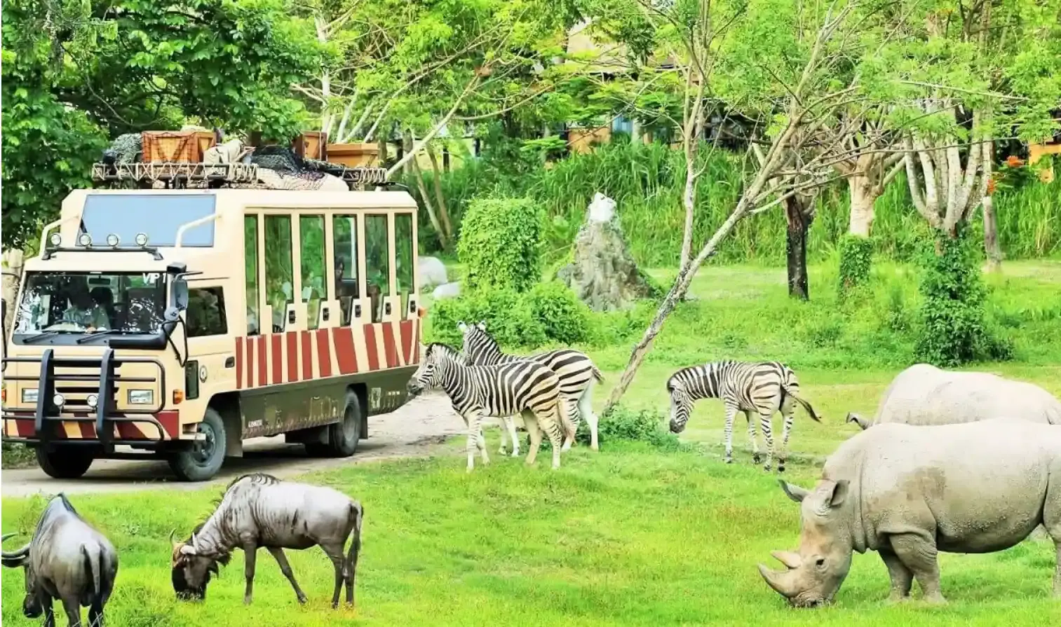 safari vinwonders
