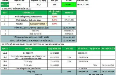 Nhà liền kề xẻ khe TĐX12-01 Vịnh Ngọc Vinhomes Green Paradise, cách biển Cần Giờ 50m trong khu kinh tế đêm
